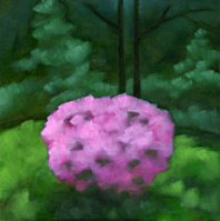Azalea #3 by ALexandria Levin