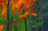 Small Autumn #1 by Alexandria Levin