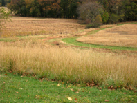 photo by Alexandria Levin