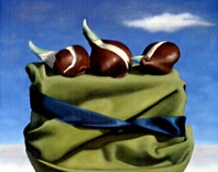 Tulip Bulb Trio by Alexandria Levin