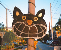 Delray Beach Halloween street cat
